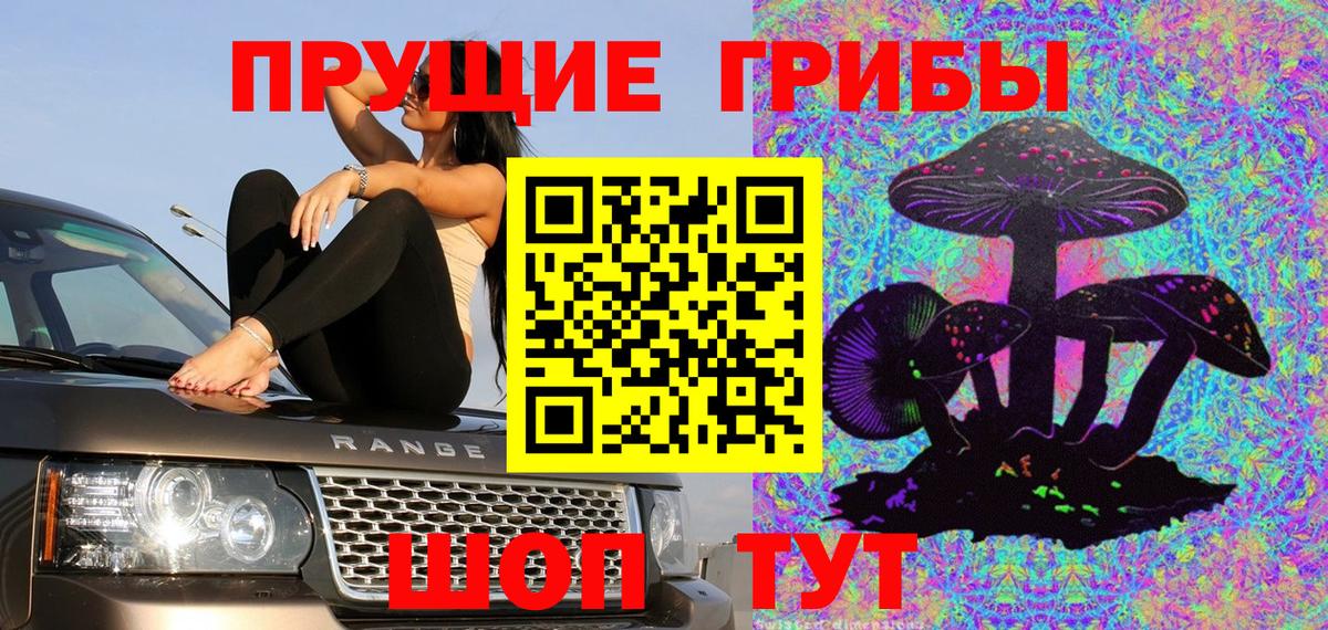 закладки  Псилоцибиновые грибы мицелий  Вход с VPN  Сухой Лог  Псилоцибиновые грибы ЛСД 