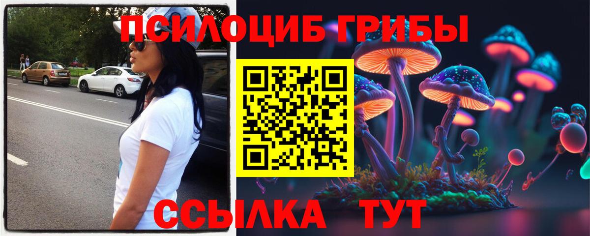 Псилоцибиновые грибы прущие грибы Сухой Лог
